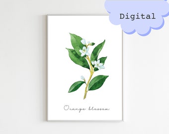 Watercolor Orange Blossom Print: Botanical Wall Art (Digital Download)