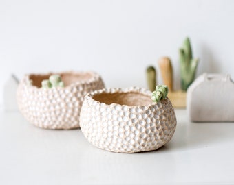 Ceramic planter, Succulent plant pot, Ceramic cactus pot, Succulent clay planter, Cache pot, Flower pot, Modern mini planter, Plant pot