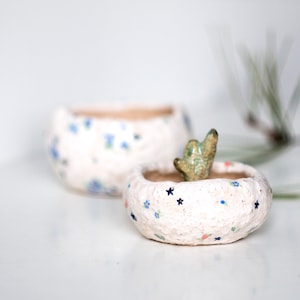 Ceramic planter, Succulent plant pot, Ceramic cactus pot, Succulent clay planter, Cache pot, Flower pot, Modern mini planter, Plant pot