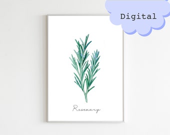 Rosemary herb illustration digital download file. Spices plant kitchen witch home decor. Printable botanical minimalist wall art poster