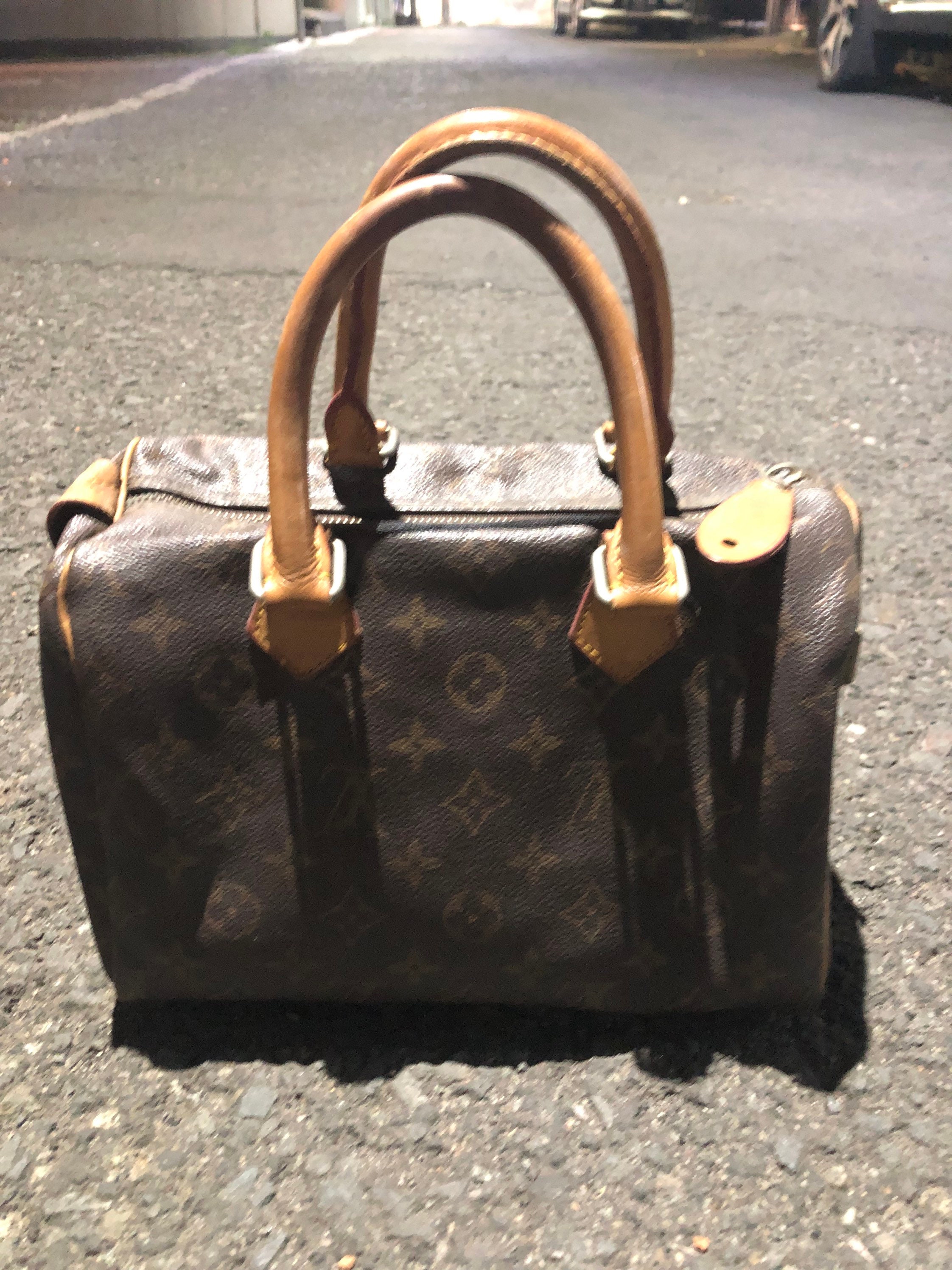 Louis Vuitton Handbags Multicolor White M29649