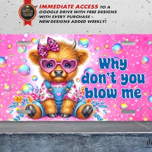 May include: A pink and white license plate featuring a cartoon highland cow with a pink bow, heart-shaped sunglasses, and a blue overall. The cow is surrounded by colorful bubbles and flowers. The text "Why don't you blow me" is written in blue letters on the plate.