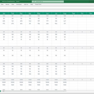Expense Tracker P&L for service
