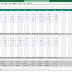 Sales report Income Statement
