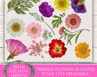 Kit de efímeras de corte quisquilloso con flores prensadas reales / Más de 140 flores / Manualidades de papel / Decoración de diarios y álbumes de recortes