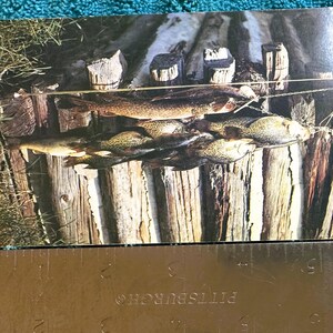May include: A photograph of freshly caught fish, including a large northern pike and several smaller fish, displayed on a rustic wooden structure. The fish are suspended by a wire, showcasing a traditional fishing catch.