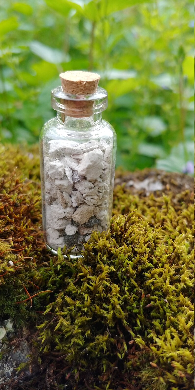 Hekla Pumice from Hekla Volcano Lava Rock from the 2000 Eruption image 8