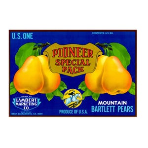 Pioneer Special Pack Mountain Bartlett Pears for Lambert Marketing