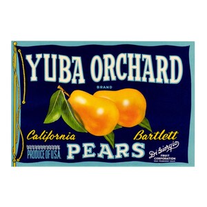 Vintage Yuba Orchard California Pear Fruit Crate Label for Di Giorgio Fruit