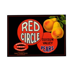 Vintage Red Circle Suisun Valley Pear Crate Label for Pacific Fruit Exchange