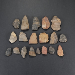 May include: A collection of 19 arrowheads made of various types of stone, including flint, obsidian, and chert. The arrowheads are all different shapes and sizes, and some have been chipped or broken.