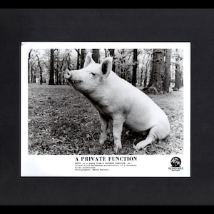 May include: A black and white photo of a pig sitting in a forest. The pig is looking to the left of the image. The text "A PRIVATE FUNCTION" is at the bottom of the image.