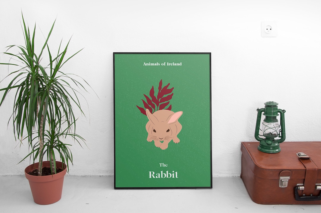 Irish Rabbit Logo Irish Rabbit Print, Native Animal Illustration, Children's Wall Art - Etsy