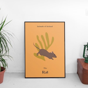 Rat Print // Irish Animal Print // Rat Illustration // Animals of Ireland // Children’s Wall Art // Irish Gifts // Irish Wall Art