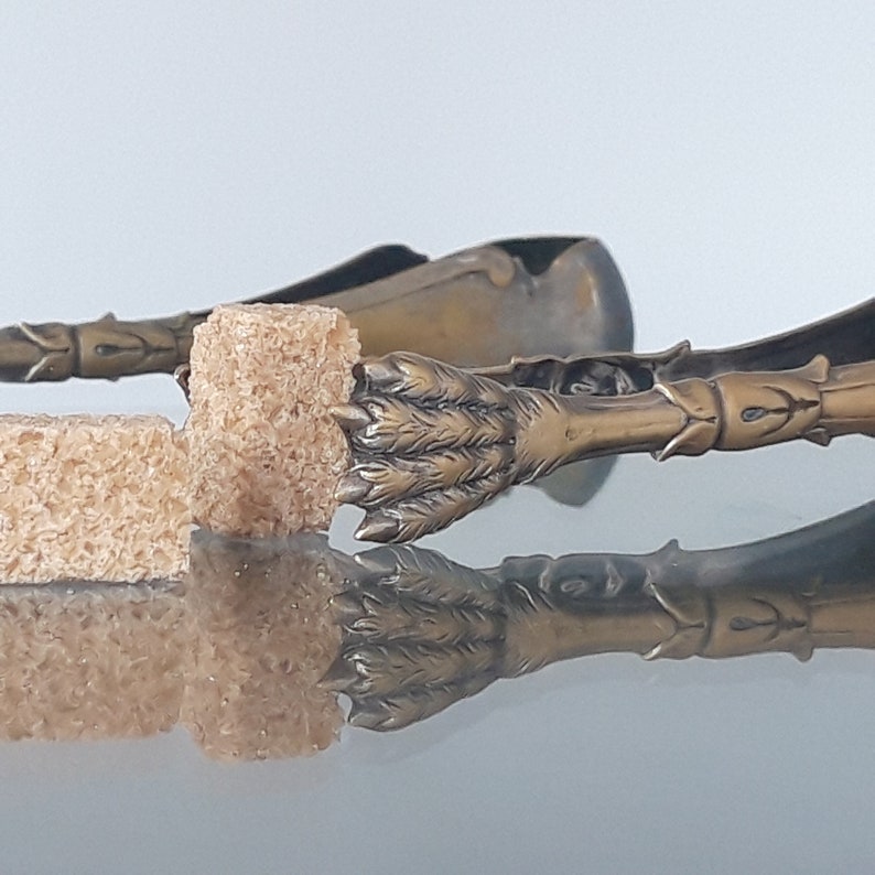 Antique Sugar Tongs Lion's Paws English Silvered and Gold Etsy