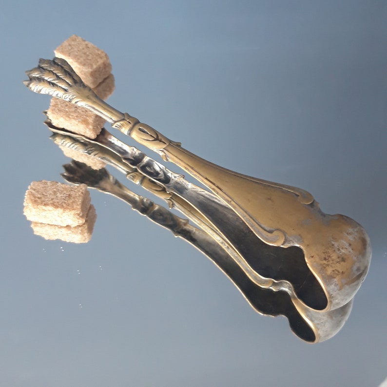 Antique Sugar Tongs Lion's Paws English Silvered and Gold Etsy