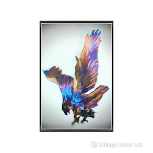 Eagle Flying Bird Of Prey Metal Wall Art Garden Art Plaque falconry Living Room Wall Decor