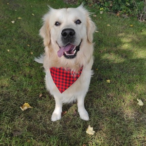 Bandana reversible para perros personalizable imagen 4