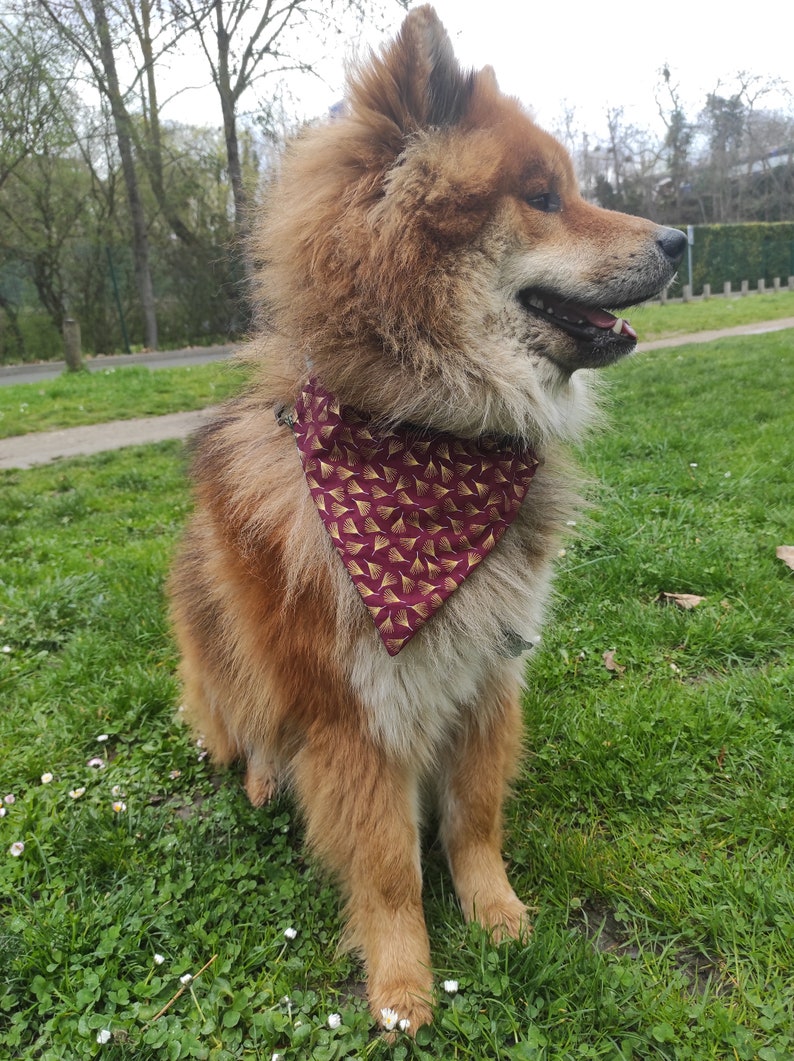 Bandana reversible para perros personalizable imagen 3