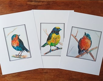Bird prints (package 1)