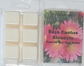 baja cactus blossom soy wax melts