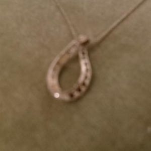 May include: A silver-toned metal necklace featuring a horseshoe-shaped pendant. The pendant is suspended from a thin, delicate chain. The horseshoe design is open at the bottom and includes small, embedded stones along the curved surface.