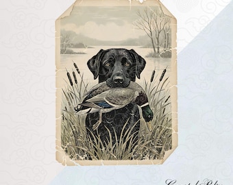 Black Labrador Duck Hunt PNG, Cane da caccia alle anatre, Sfondo trasparente, Download digitale