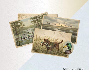 Labrador Duck Hunt PNG, Cane da caccia alle anatre, Design cartolina vintage, Download digitale