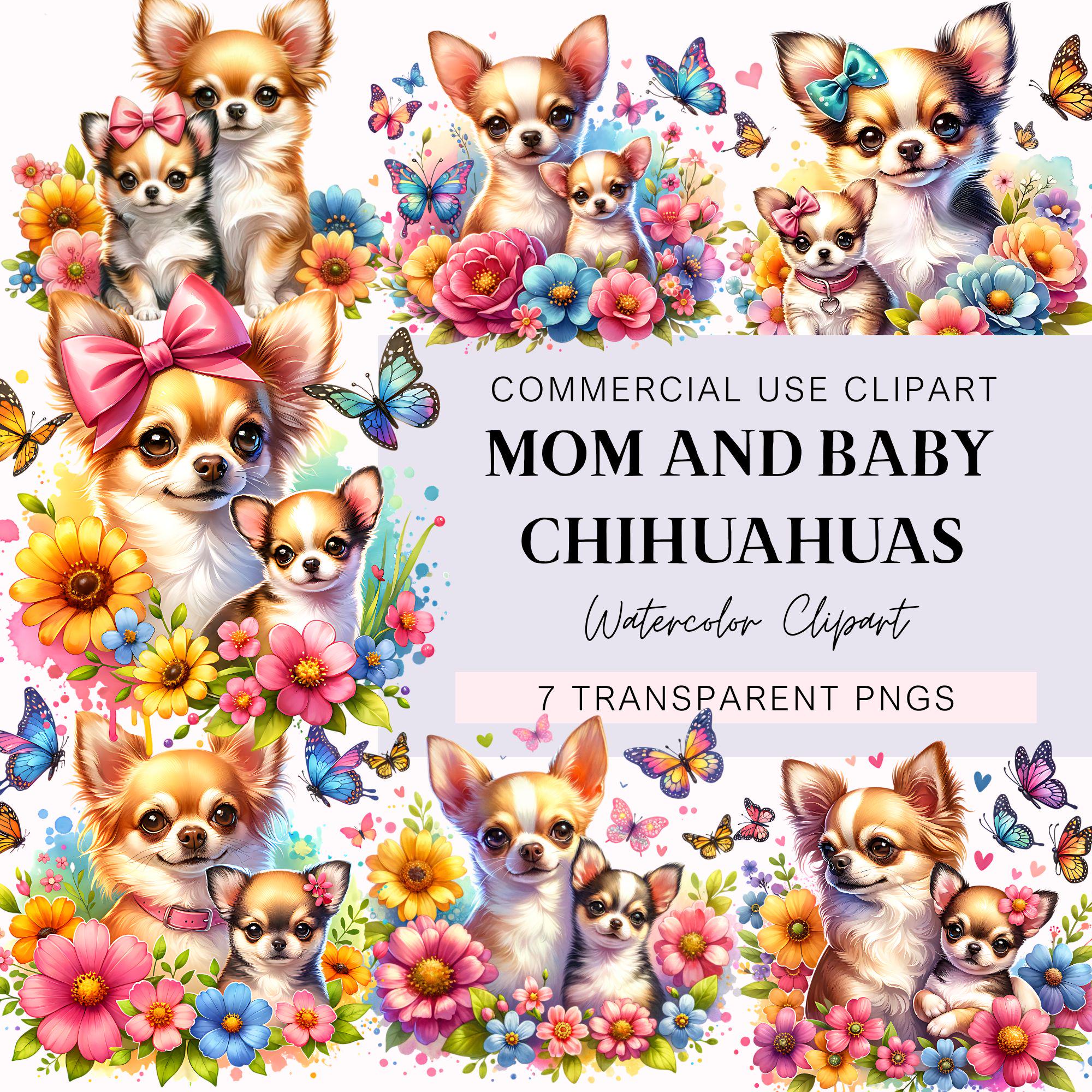 Perro chihuahua png España