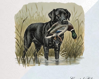 Black Labrador Duck Hunt PNG, Cane da caccia alle anatre, Sfondo trasparente, Download digitale