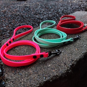 May include: Three colorful dog leashes in neon pink, mint green, and red. Each leash is coiled and features a matching handle and a black metal clasp. The leashes are made of a flexible, waterproof material.