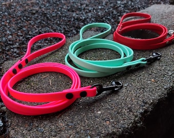 Waterproof 1/2in Thin Biothane Basic Dog Leash
