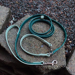 Adjustable Hands-Free Leash, Crossbody Waterproof Biothane Dog Leash, Custom