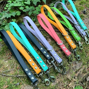Biothane Traffic Handle Lead, Waterproof Dog Leash