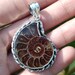 Ammonite Pendant925 Sterling SilverAmmonite image 0