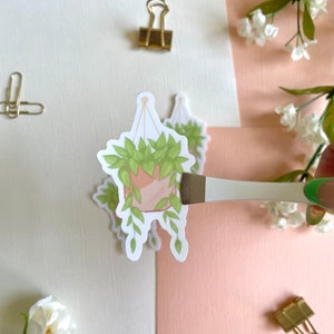 Hängende Pothos Pflanze Vinyl Aufkleber | Pothos Aufkleber, Pflanzenaufkleber, niedlicher Pflanzenaufkleber | Auto Aufkleber