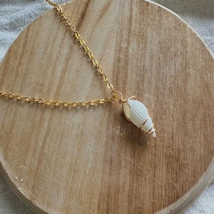 Coconut Girl Conch Seashell Necklace/Summer Boho coastal Necklace/ Gold Chain Necklace/ Ocean Seashell Necklaces/ Island girl beach necklace