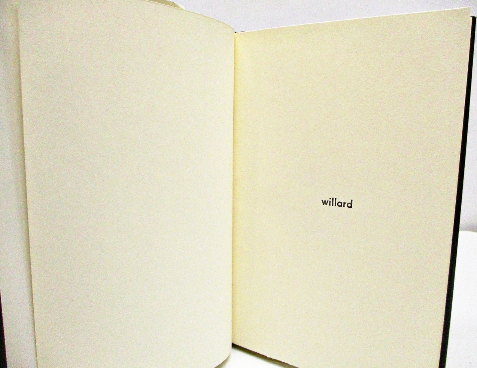 Willard by Stephen Gilbert Willard by Stephen Gilbert