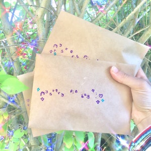 Puede incluir: Varias bolsas de papel marrón se sostienen frente a un fondo de hojas verdes. Las bolsas tienen la inscripción "Mystery pin bag" escrita con rotulador morado, junto con pequeños garabatos de corazón y estrella.