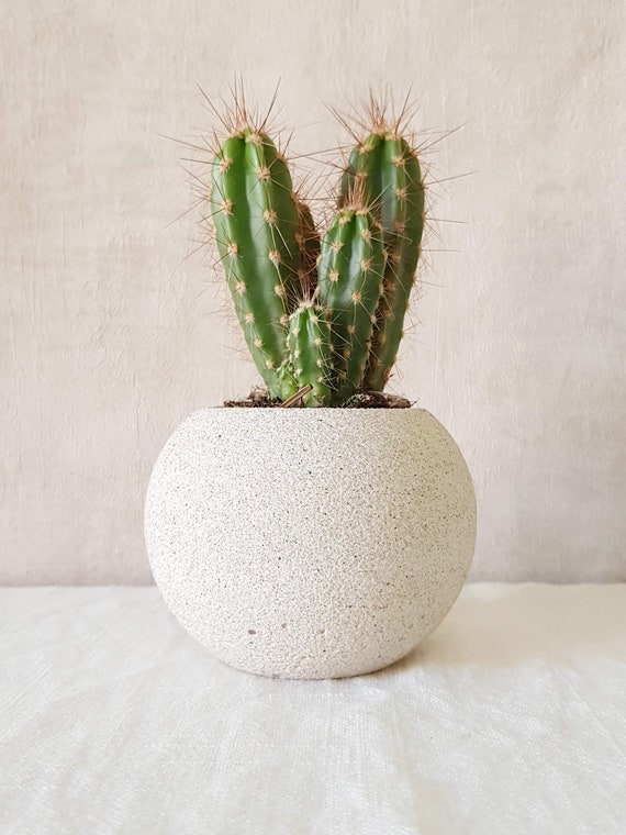 Natural Stone Sphere Planter || Handmade from Jesmonite - Concrete - Sphere Ball Plant Cache Pot Vessel - Bring Peace Into Your Home
