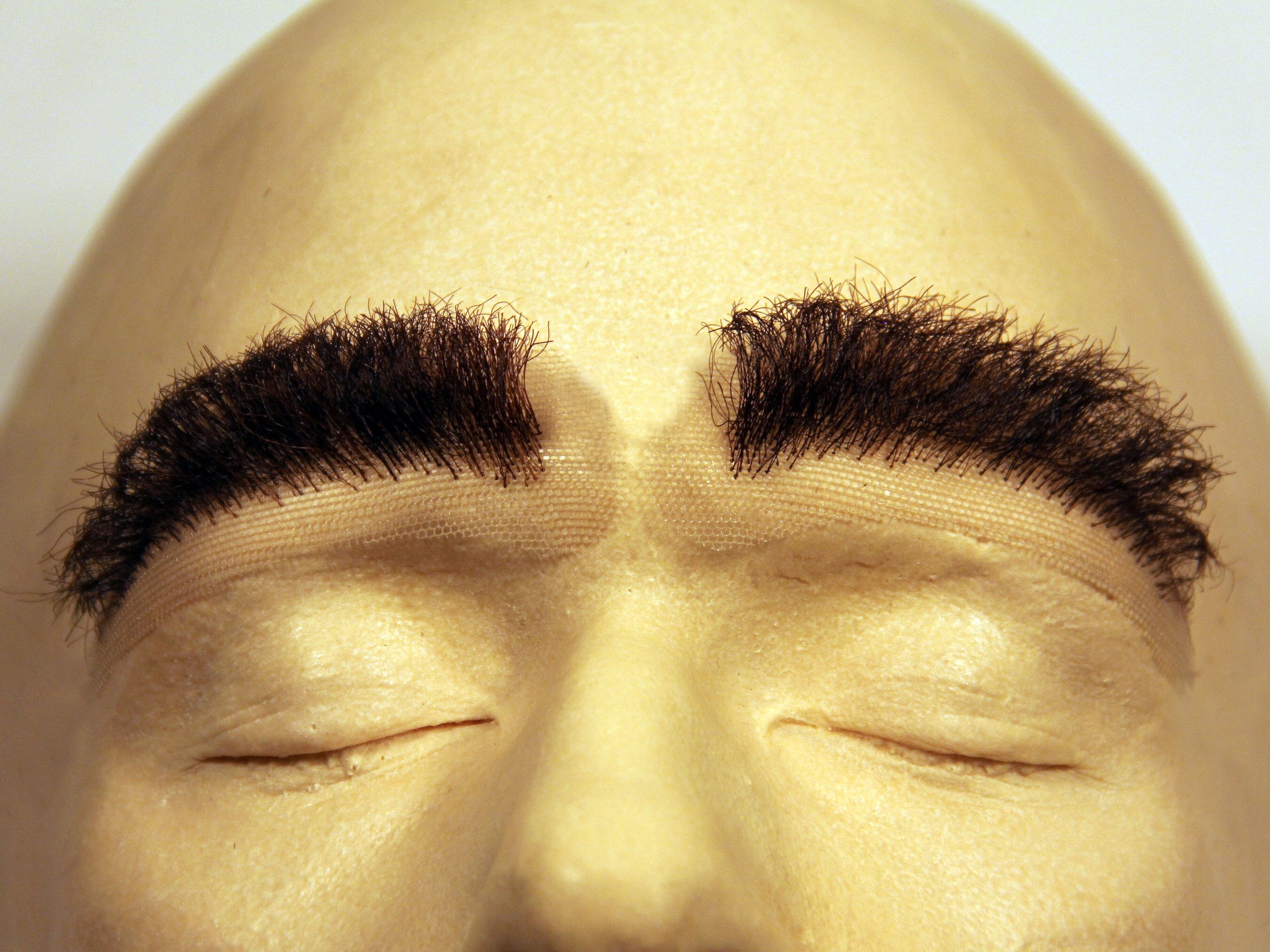 Shrek eyebrowsBeauty and the Beast eyebrowsBig bushy | Etsy