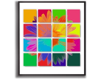 Fotografia di fiori di margherita a colori, fotografia originale, botanica stampabile, arte murale extra large, download digitale, decorazione da parete, stampa poster