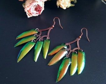 Copper Elytra Jewel Beetle Wings Drop/Dangle/Chandelier Statement Earrings