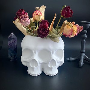 Twin Conjoined Human Skull Pot/Vase/Sculpture Gothic Decoration Extra Large