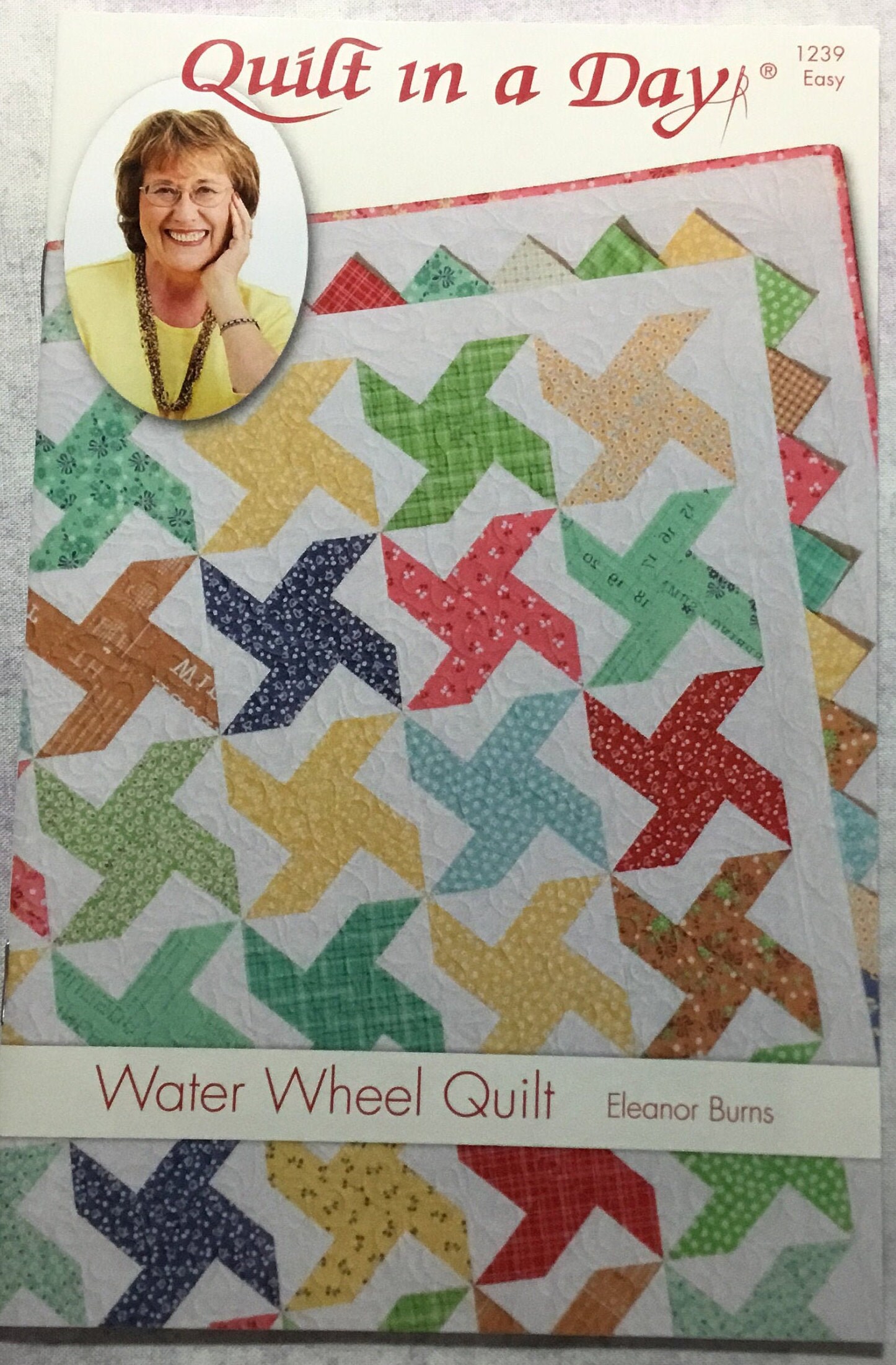 Quilt In A Day Color Wheel Quilt Eleanor Burns Signature Pattern by