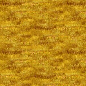 May include: A close-up of a field of tall, dry grass with a golden yellow color.