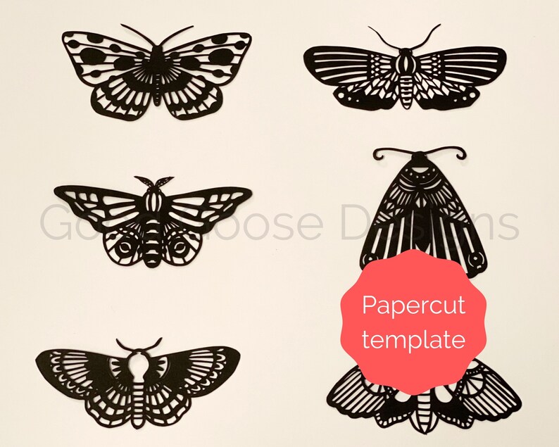 6x Moths Papercutting Templates for Personal Use Only PDF Etsy