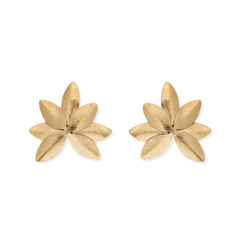 Maguey Earrings image 2