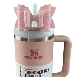 Pink Dusk Stanley Cup 
