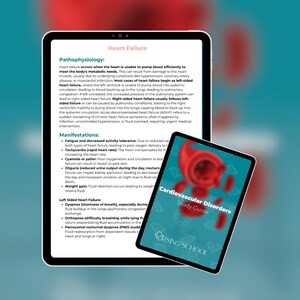 Cardiovascular Med-Surg Study Guide | Perfect for NCLEX and Nursing Students